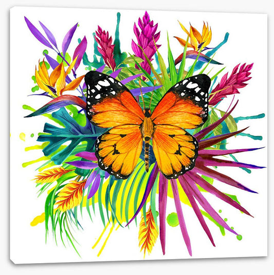 Midsummer monarch