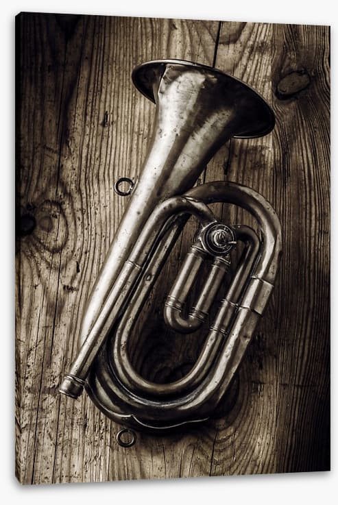 The old bugle