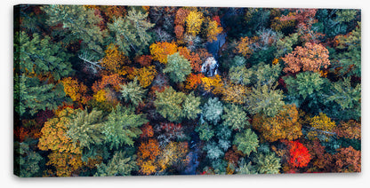 Above autumn