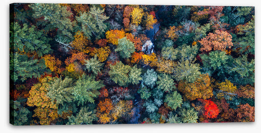 Above autumn