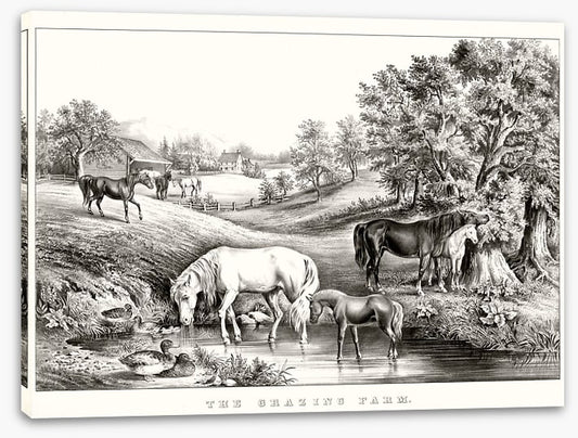 The grazing farm