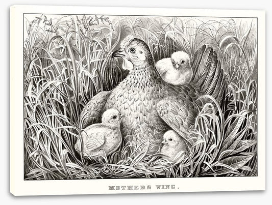 Mothers wing