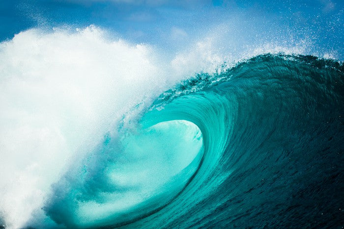 Barrel vision