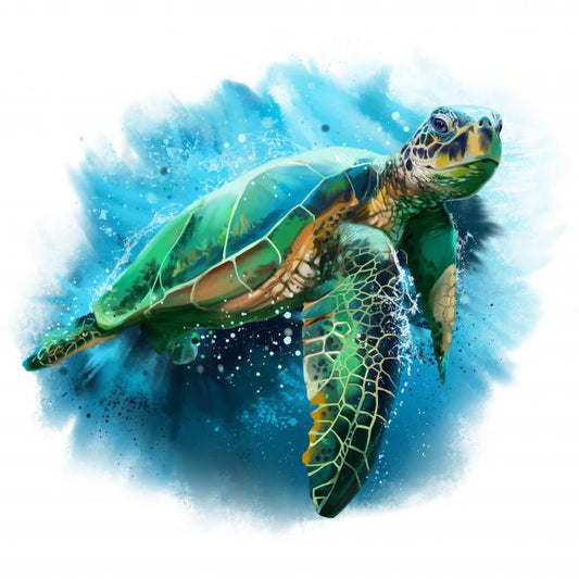 Sea turtle splash