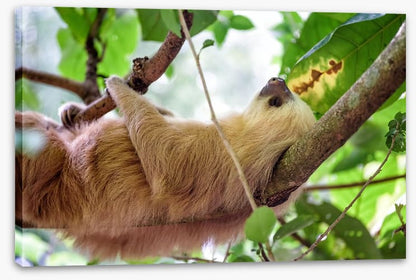 That Friday feeling