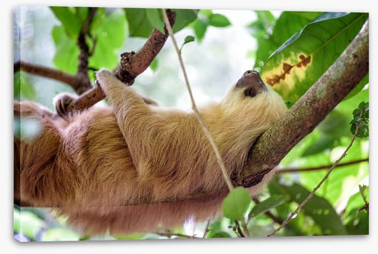That Friday feeling