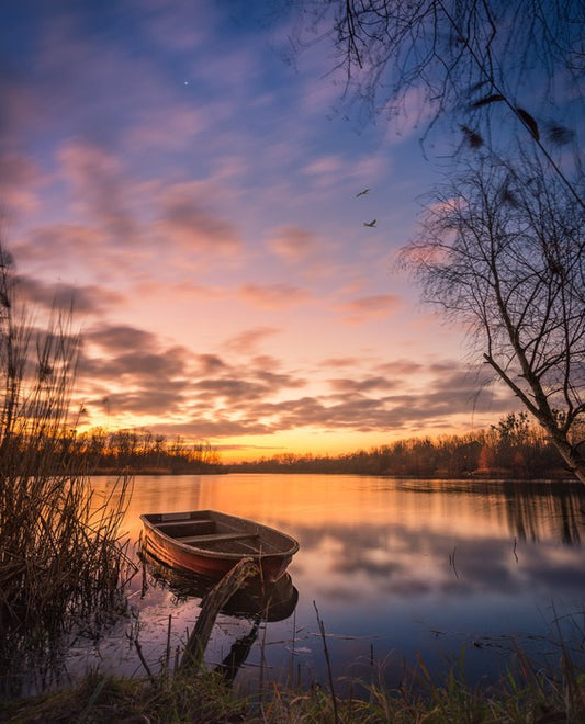 The last boat