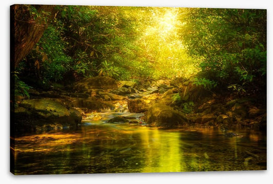 Sunburst river rays