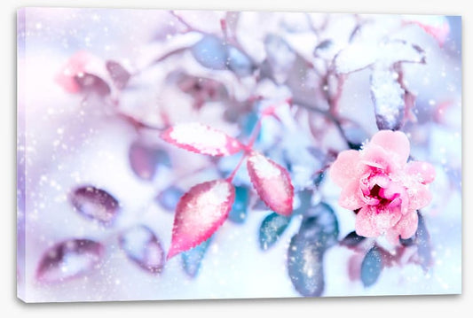 Frozen pink