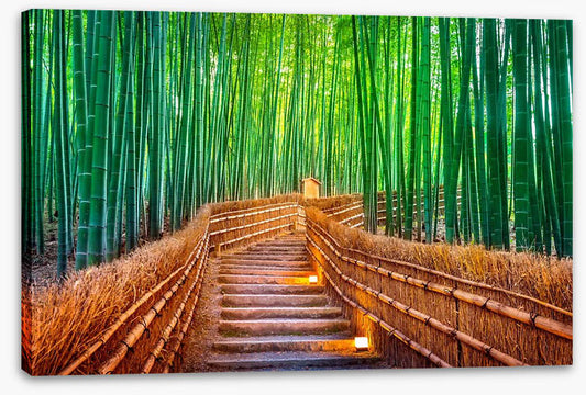 The bamboo bridge