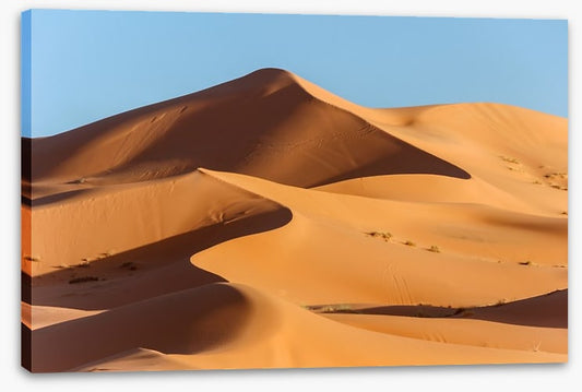 Desert