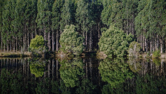 Tasmania