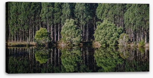 Tasmania