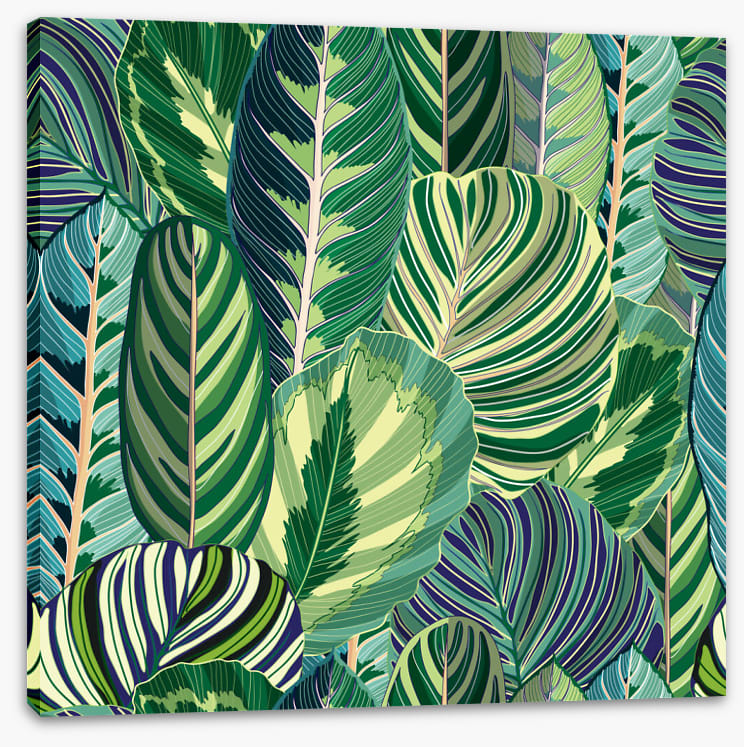 Variegated greens