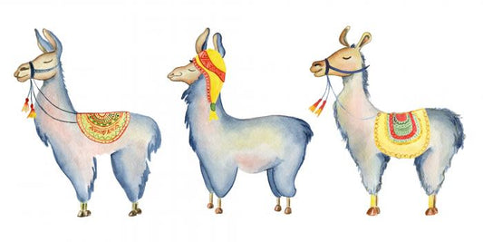 Llama parade