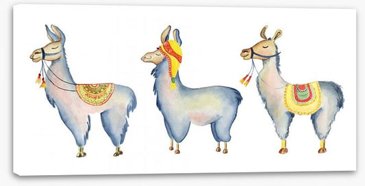 Llama parade