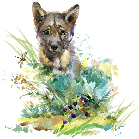 Wolf cub in the grass