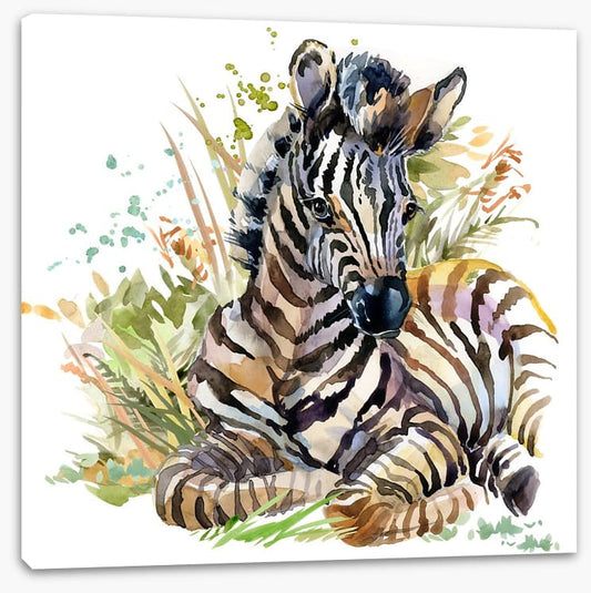 Zebra foal in the grass