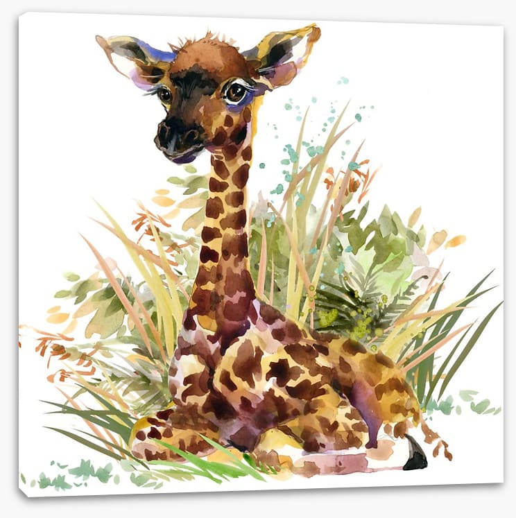 Giraffe calf in the grass
