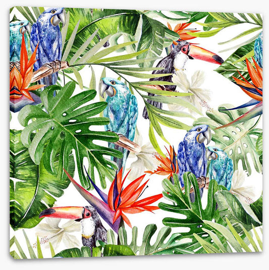 Blue parrot palms