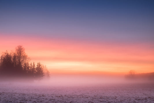 Pink mist morning
