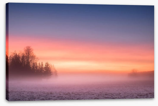 Pink mist morning