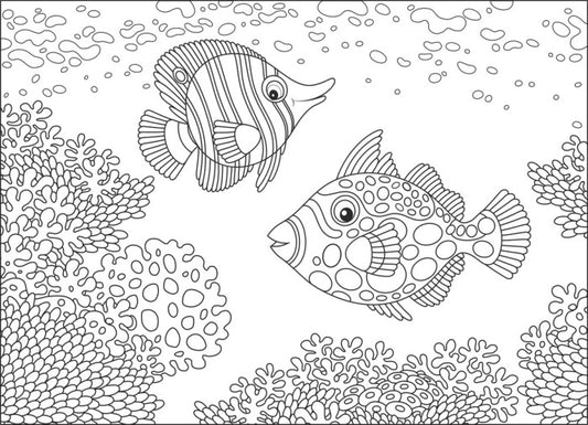 Colour me coral fish