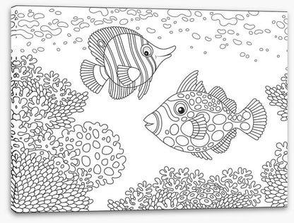 Colour me coral fish