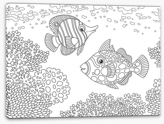 Colour me coral fish
