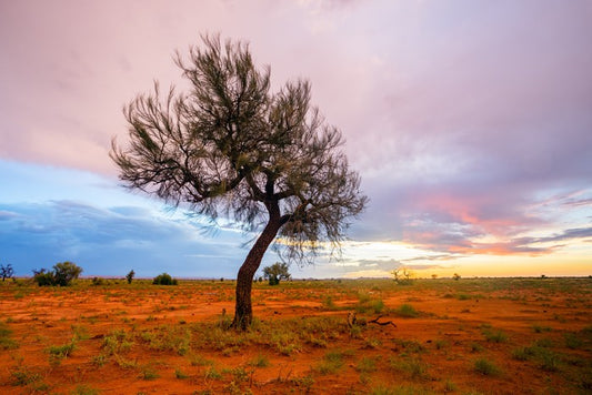 Pilbara twilight