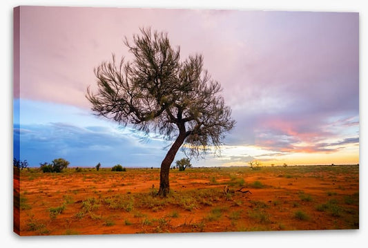 Pilbara twilight