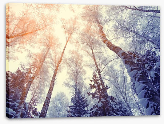 Under a snowy sky