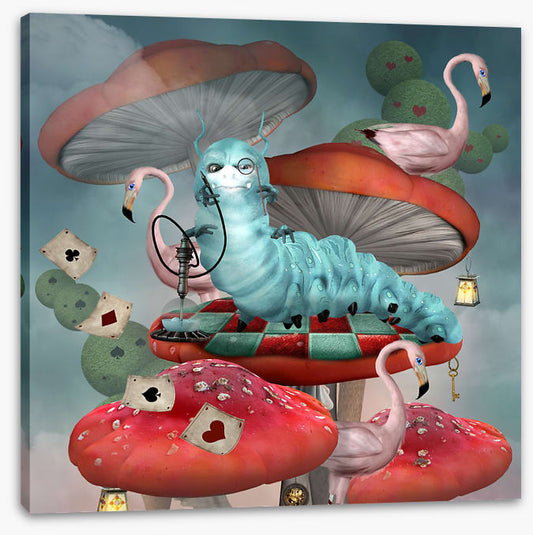 Magic in the mushrooms