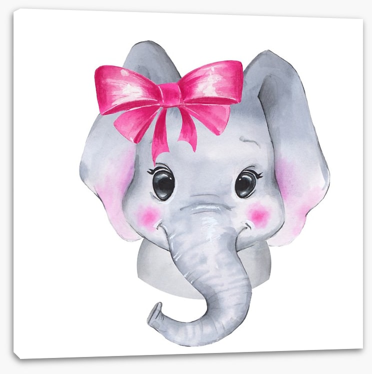 Elephant blush