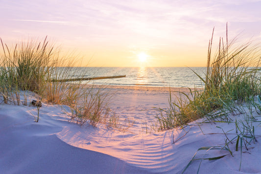 Sunset serenity