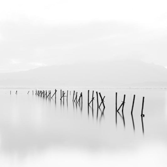 Silence and shadows