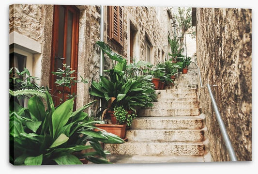 Garden on the steps
