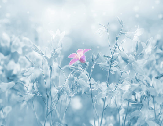 Winter farewell