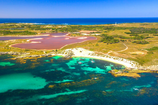 Pink lake shores