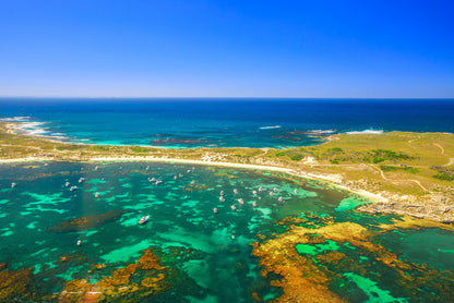 Narrow Neck greens