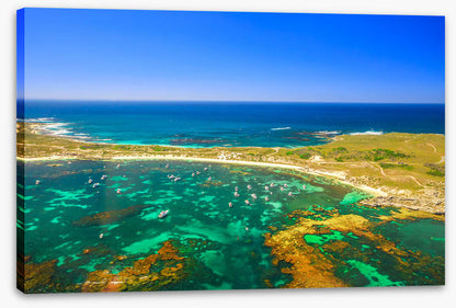 Narrow Neck greens