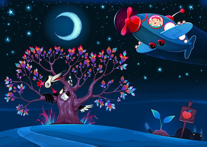 Night flight