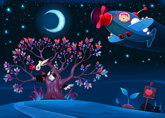 Night flight