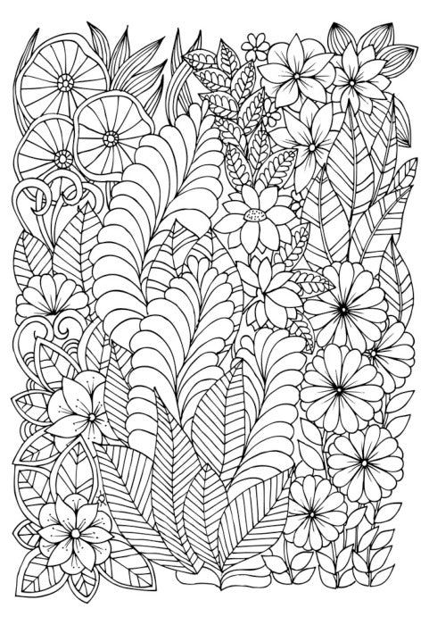 Colour me leafy