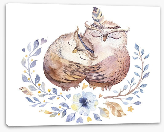 Owls