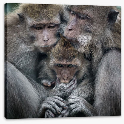Family hug