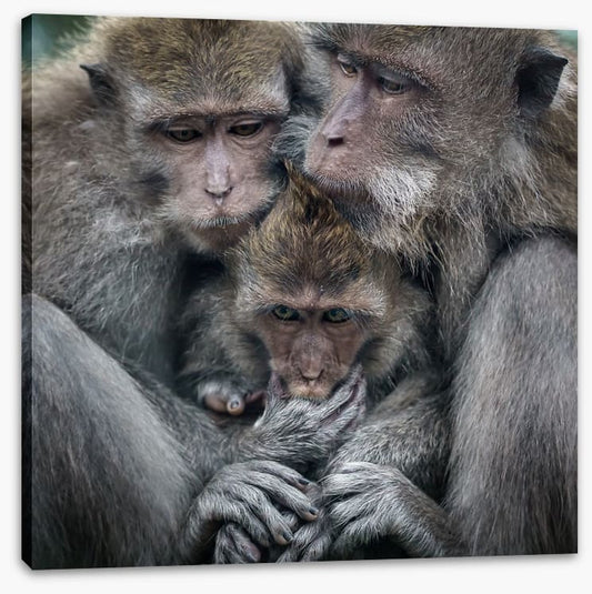 Family hug