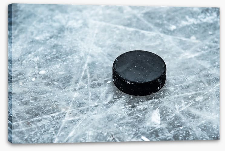 Puck it