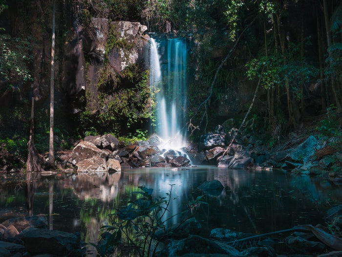 Curtis Falls