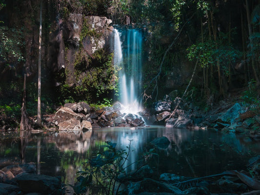 Curtis Falls